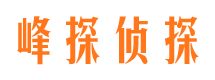 云梦侦探公司